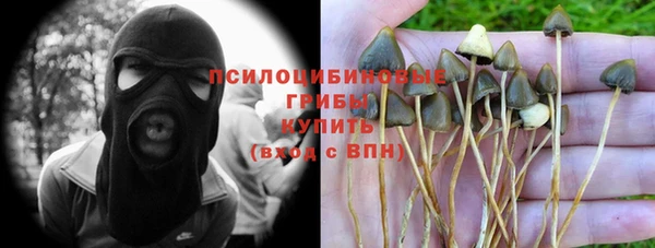 стафф Балахна