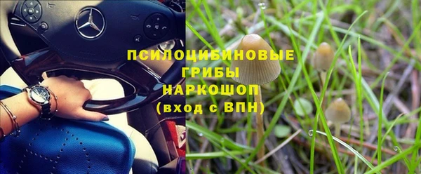стафф Балахна