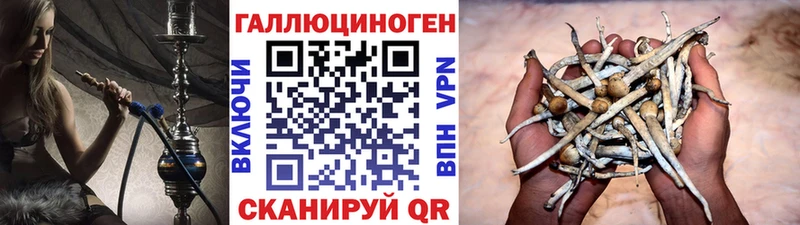 Псилоцибиновые грибы GOLDEN TEACHER Фатеж